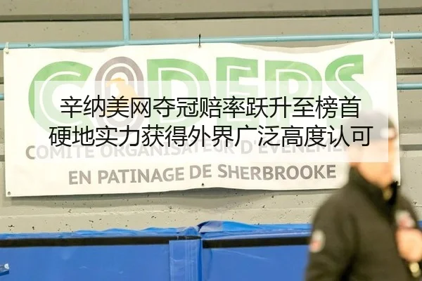 辛纳美网夺冠赔率跃升至榜首 硬地实力获得外界广泛高度认可