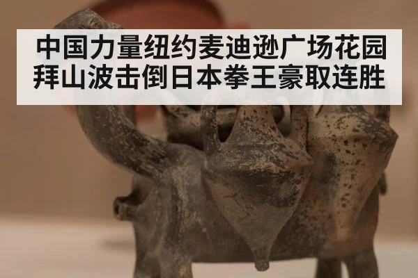 中国力量纽约麦迪逊广场花园拜山波击倒日本拳王豪取连胜
